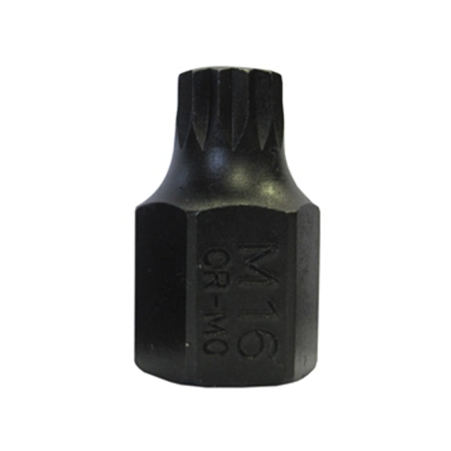 03661600 - Spline Socket M16 x 40mm